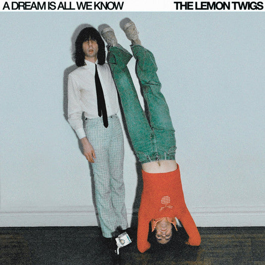 The Lemon Twigs - A Dream Is All We Know (LP, white)