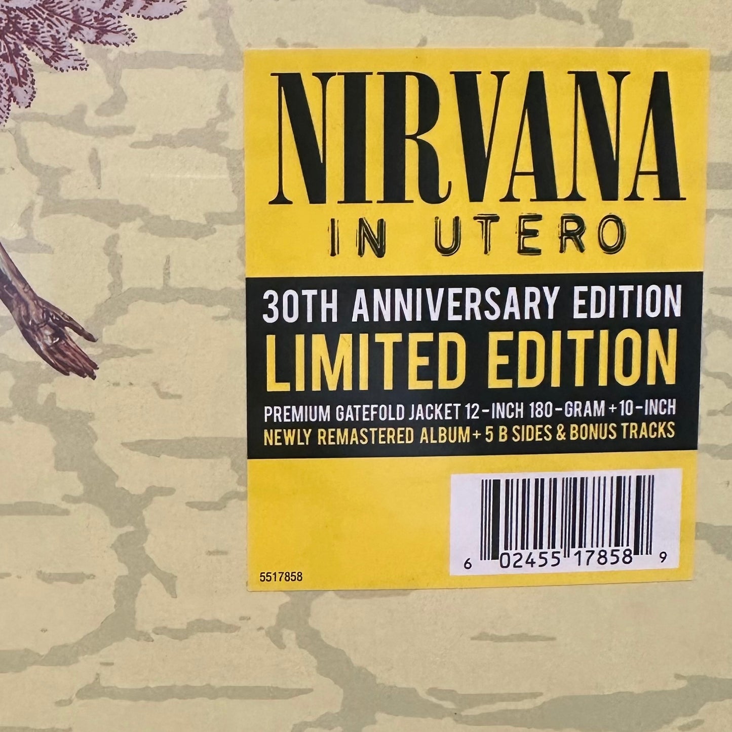 Nirvana - In Utero (LP + 10”EP, 30th, Ltd)