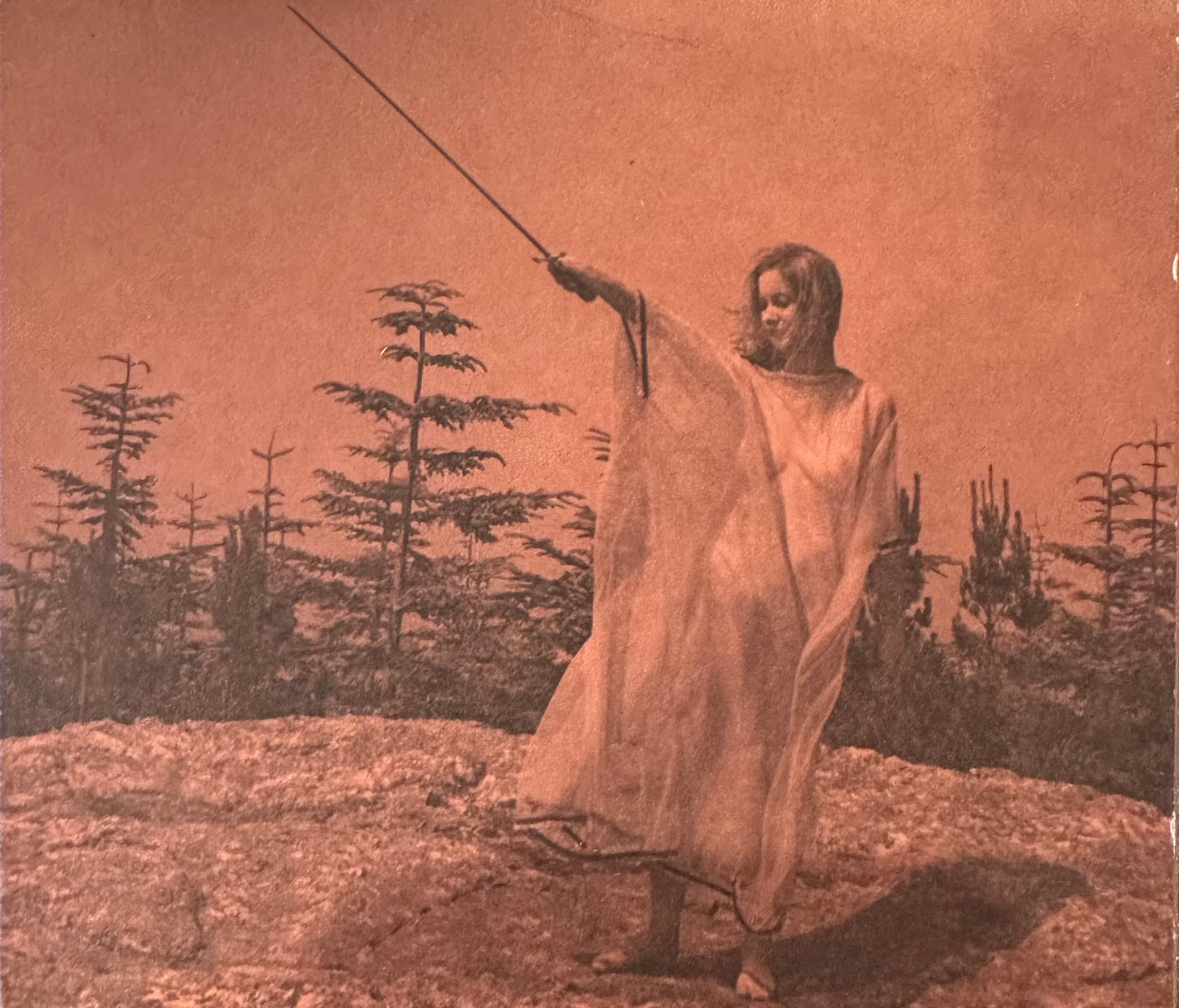 Unknown Mortal Orchestra - II (CD)