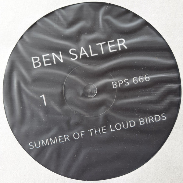 Ben Salter : Summer Of The Loud Birds (LP, Album)