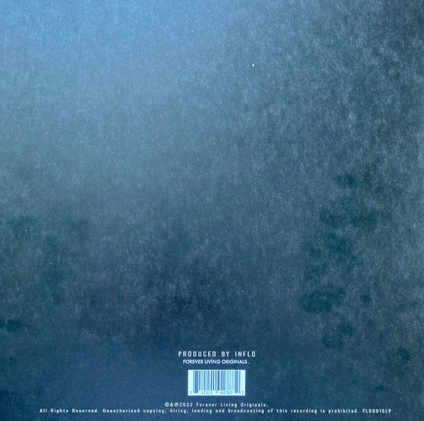 Sault : Untitled (God) (2xLP, Album)