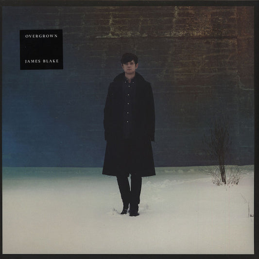 James Blake : Overgrown (2xLP, Album)